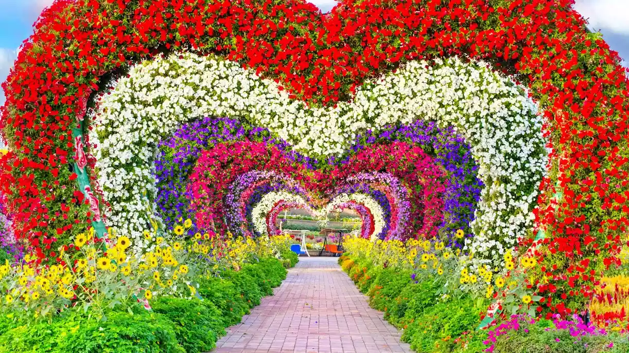 باغ گل معجزه دبی